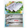 FROZEN RIBBON FISH STEAK/HAIRTAIL STEAK/ WHOLE ROUND